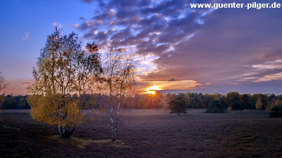Sonnenuntergang in der Westtruper Heide