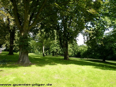 Steeler Stadtgarten