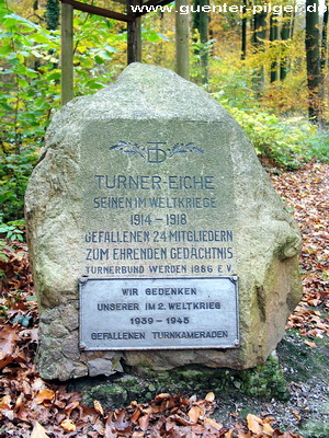 Turner-Eiche
